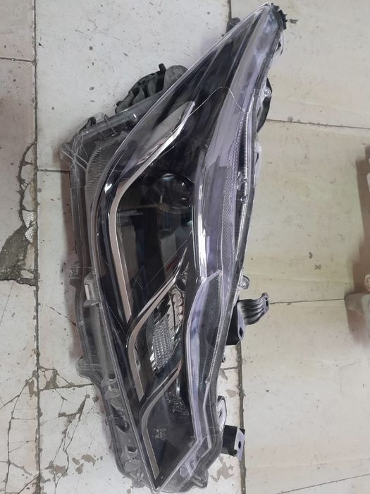 Фар Каролла 2024