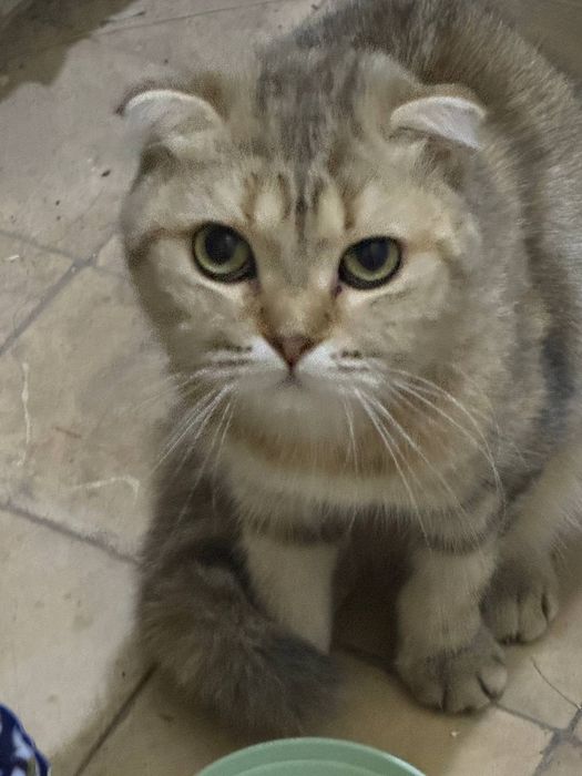 Dasha Sagalova bilan jinsiy aloqa video