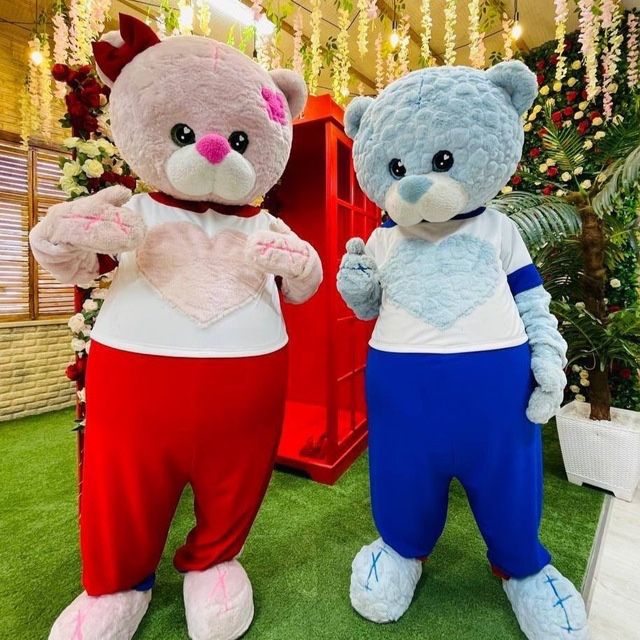 Ayiqlar|айиклар|oformlenya