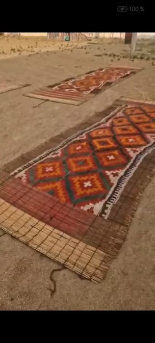 Бау басқұр сатылады