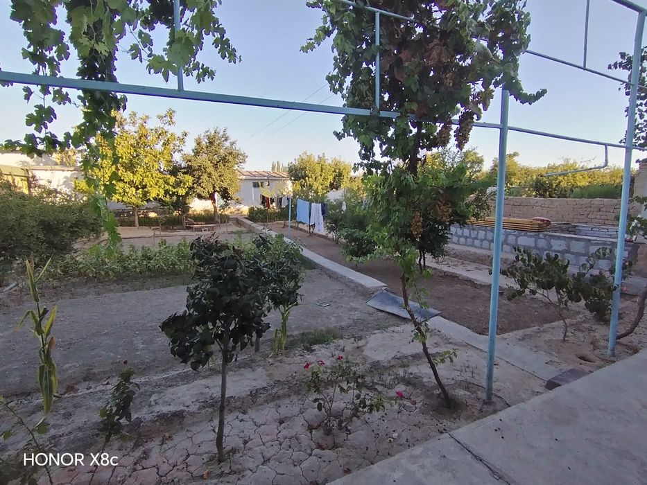 Hovli, cho'tqarada