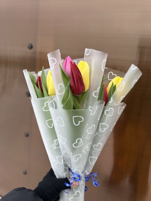 Тюльпаны Большие, Пионовидные