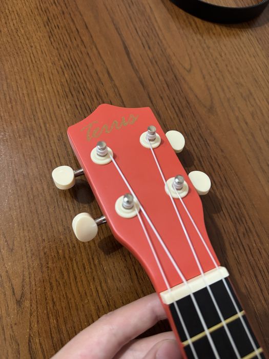 Укулеле Terris JUS-20 Mushroom Multicolor