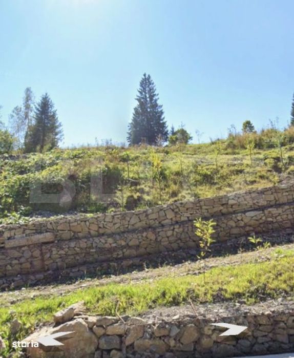 Teren intravilan, 5.000 mp, zona Campulung Moldovenesc