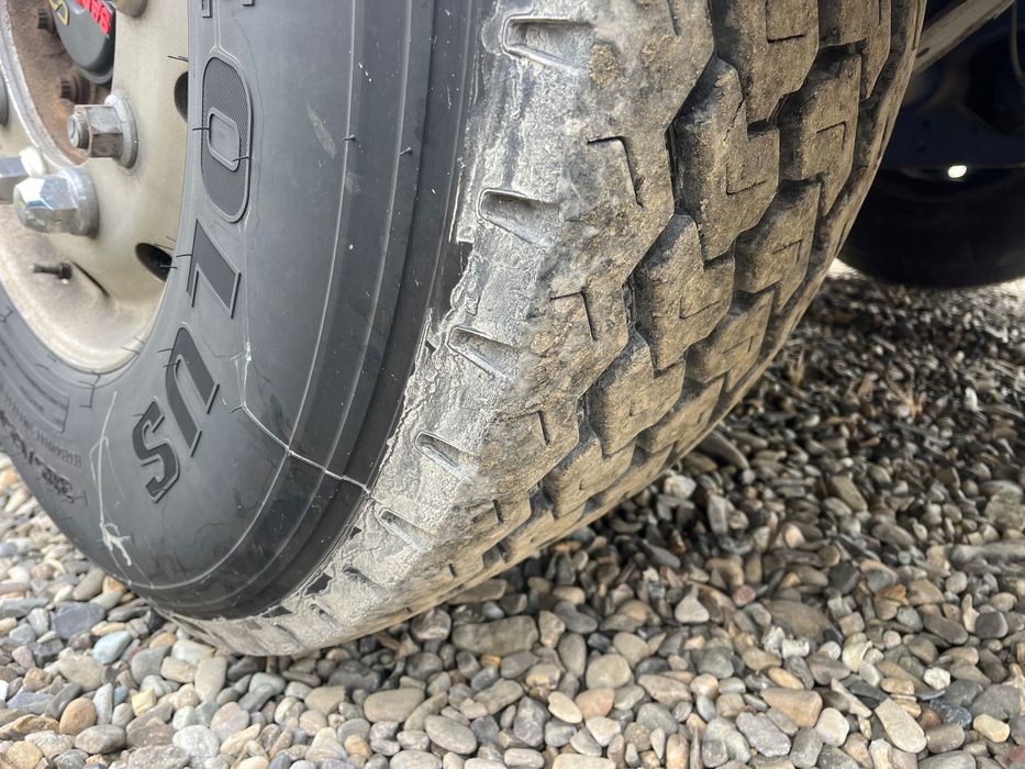 Vagon WalkingFloor REISCH 2019