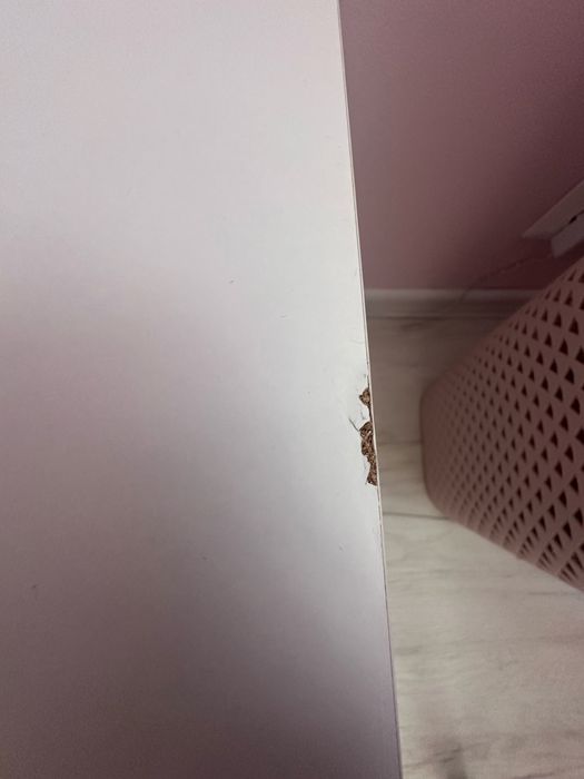 Секция / Мебели за дневна, бял/лилав, предна част MDF