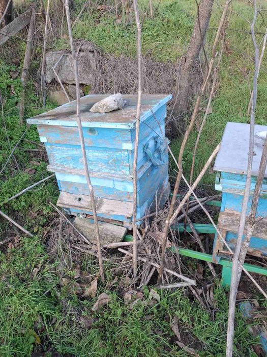 Кошери за пчелин, вече не се използват, затова ги продавам