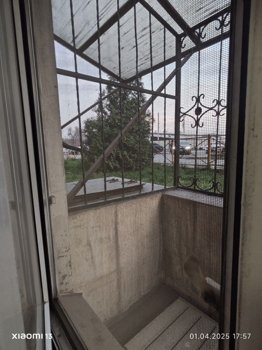 Северное кольцо 86/15