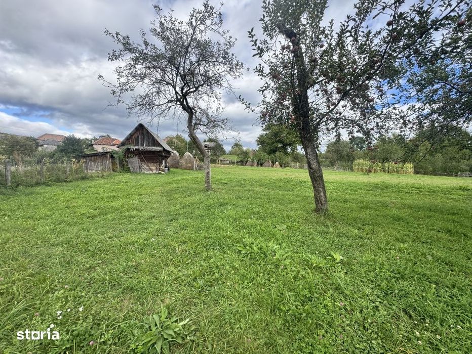 6.605 mp de natura pura – refugiu, afacere sau investitie in Candest
