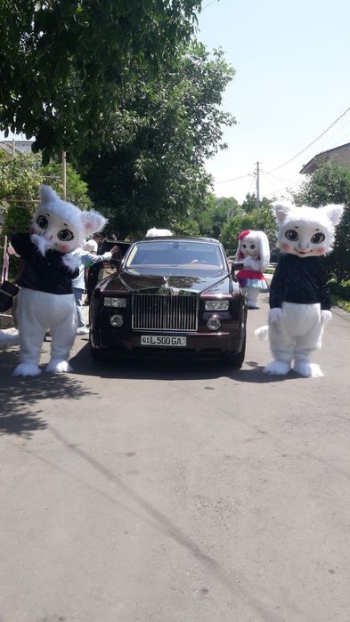 AYIQLAR shou Oformleniya