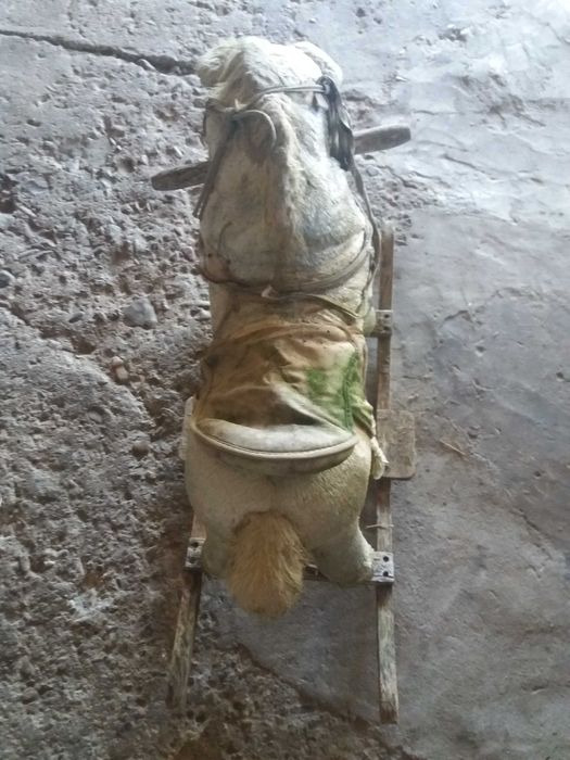 Продавам детско конче