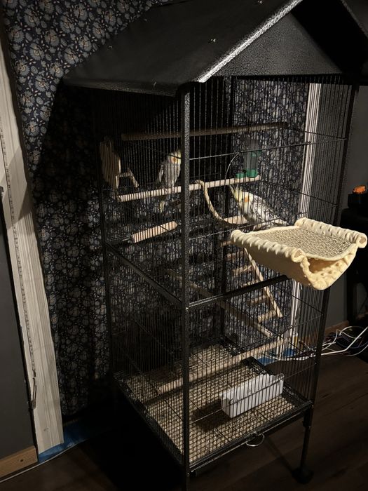 Pereche nimfee+cusca