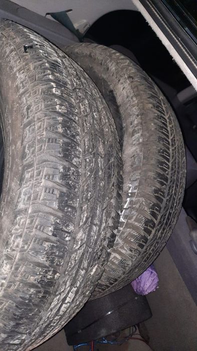 Пакришка 16 17лик