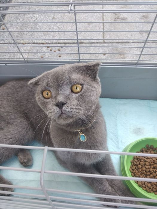 Seks porno insest video rus