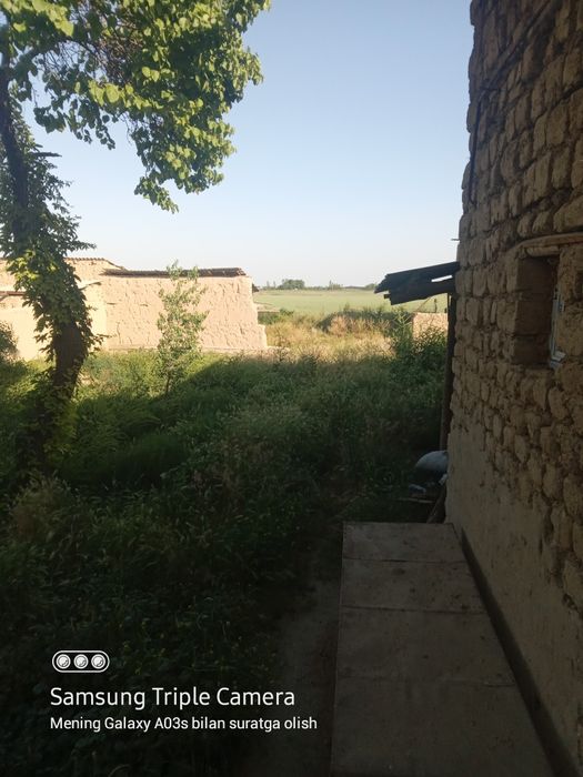 Jizzax Sh.Rashidov tuman. Uch tepa daxasi Yangi hayot maxallasi