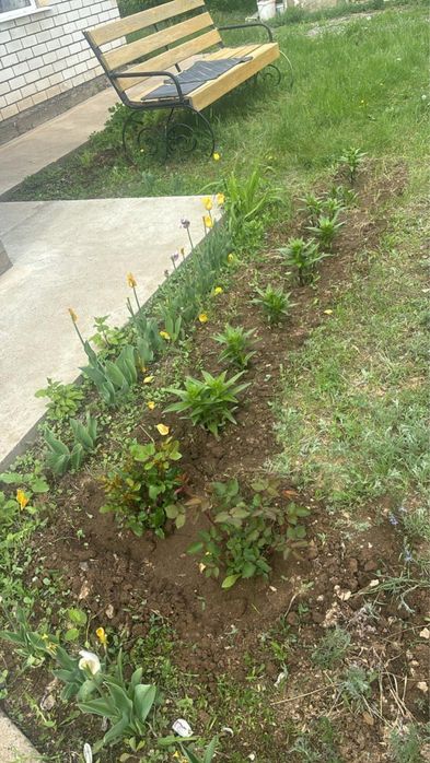 Срочно продам частный дом!