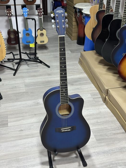 Akustik professional gitara