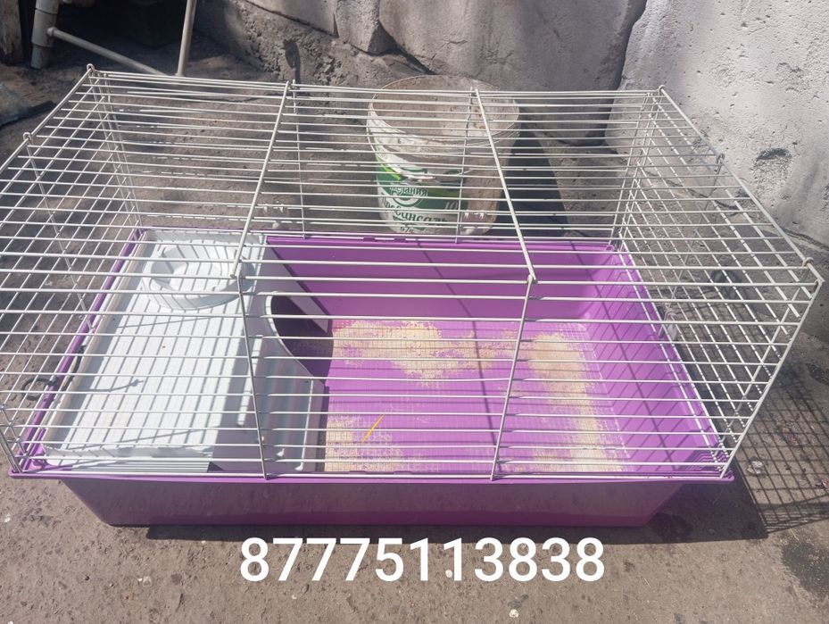 Клетку большую с домиком внутри пишите на ватсап продам