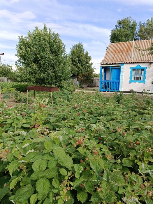 Дача СПП  с мебелью и всем необходимым