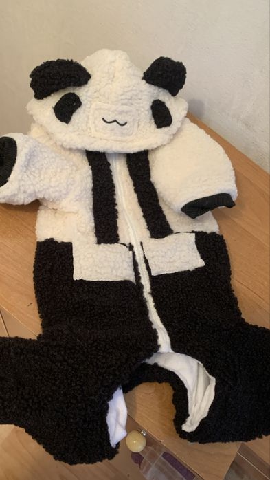 Продам тедди для собачки