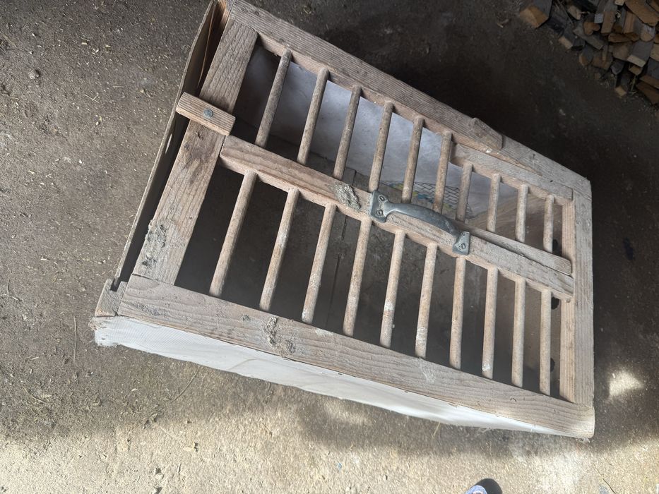 Vand o pereche de porumbei + cuscă si odihnitori