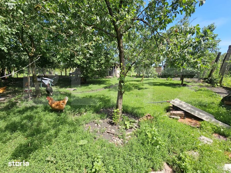 Casa renovata, 4.237mp teren intravilan, Dublu front stradal, Razboien