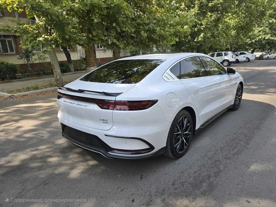 BYD Han L 2 ta mator pod zakaz
