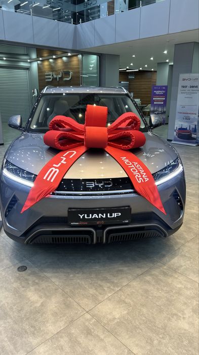 Byd yuan up ofisalniy