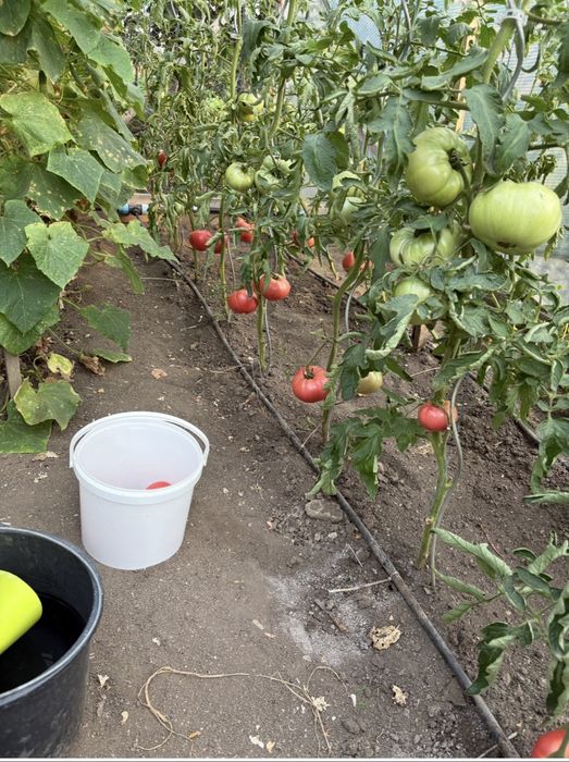 Vand solar 14 mp 6x4m