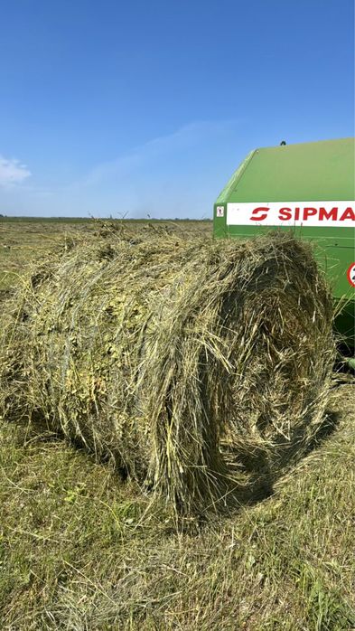 Продам сено луговое свежее