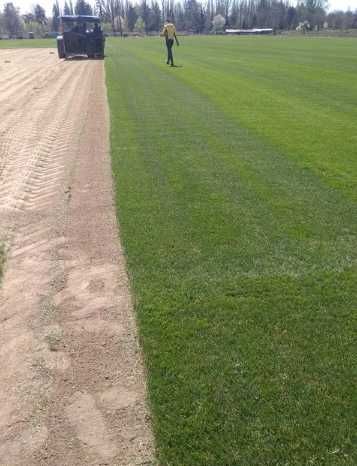 Gazon Rulou sisteme de Irigare