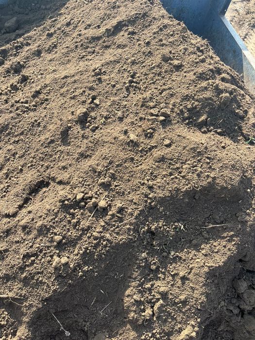 Чернозем плодородная земля