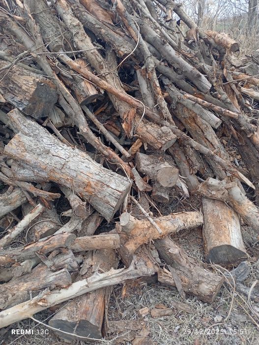 Oʻ'tin sotiladi kelish turib beramiz