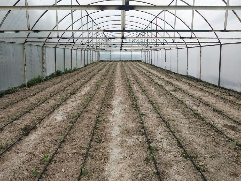 biz sizlar uchun xar xil turdagi tom naves issiq xona va sortaklar tay