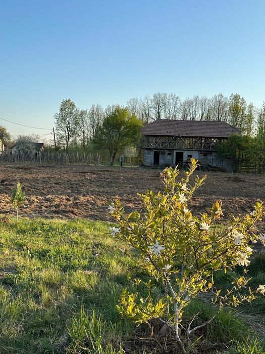 Vând teren cu potențial