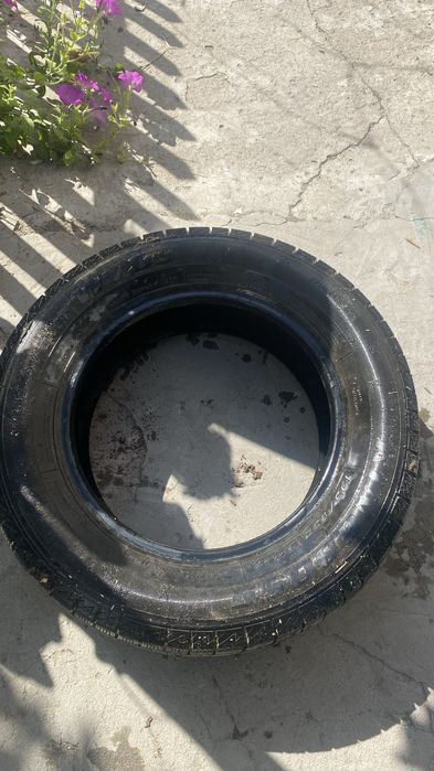 Шины на R 15 195/65
