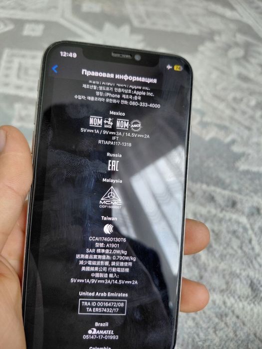 iPhone X 256/100%