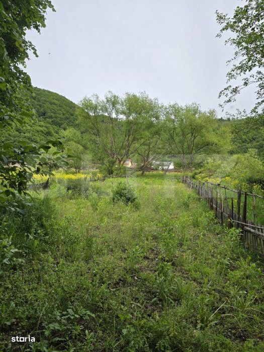 Teren intravilan Ciucea