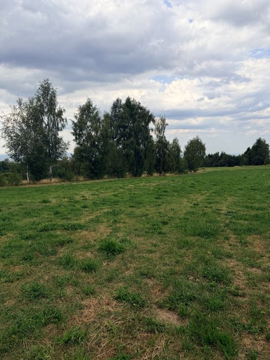 Teren de vânzare Dealu Negru-judetul Cluj