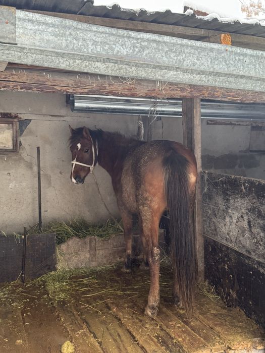 Сатылады срочно!