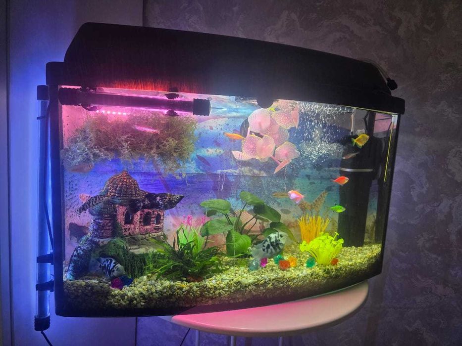 Классный Аквариум с рыбками
