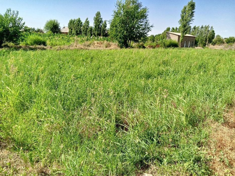 10 соток ер 13.000$