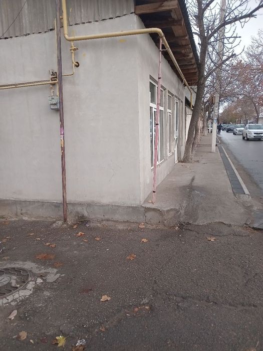 Новойхона Ижарага берил он от иади.