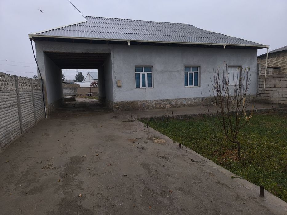 Hovli juda yaxshi holatda