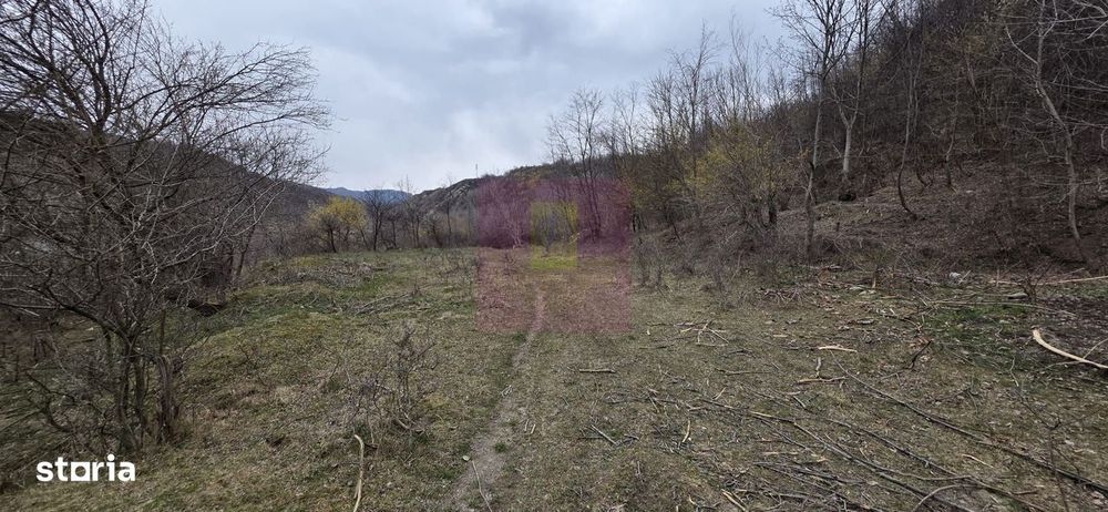 Teren de vanzare in Brebu - Raul Doftana