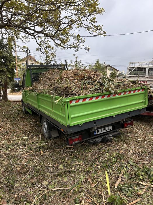 Рязане на дървета, извозване на разстителни отпадаци, дробене на клони