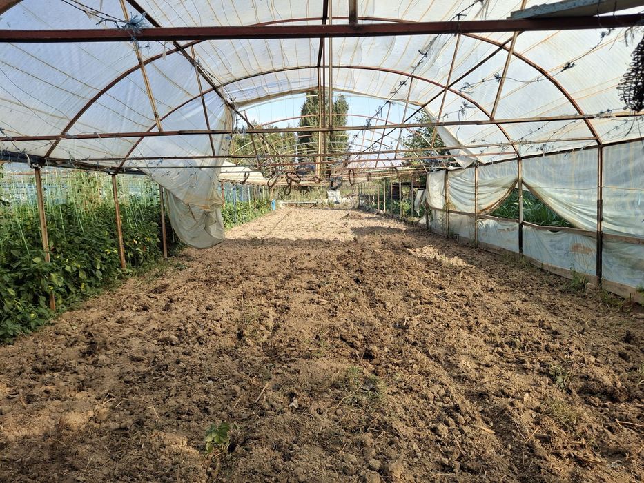 Теплица 14/40 метр