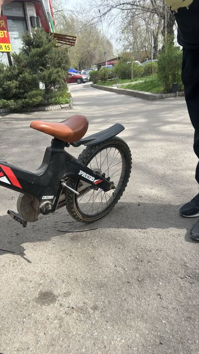 Велосипет probeka