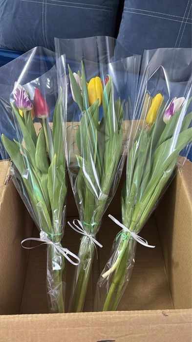 Тюльпаны к 8 марта