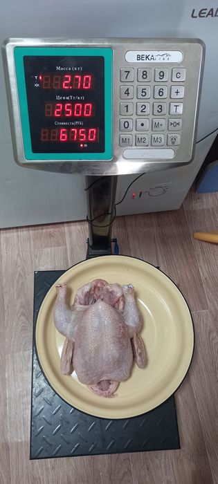 Мясо бройлера домашнее